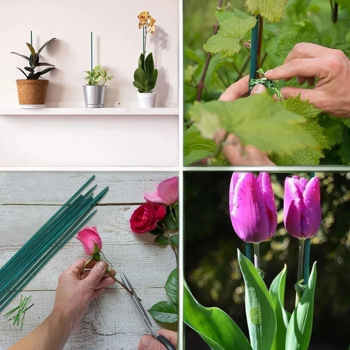 Slide image 0d0b0c9bb3a940b6b59c56160515d228