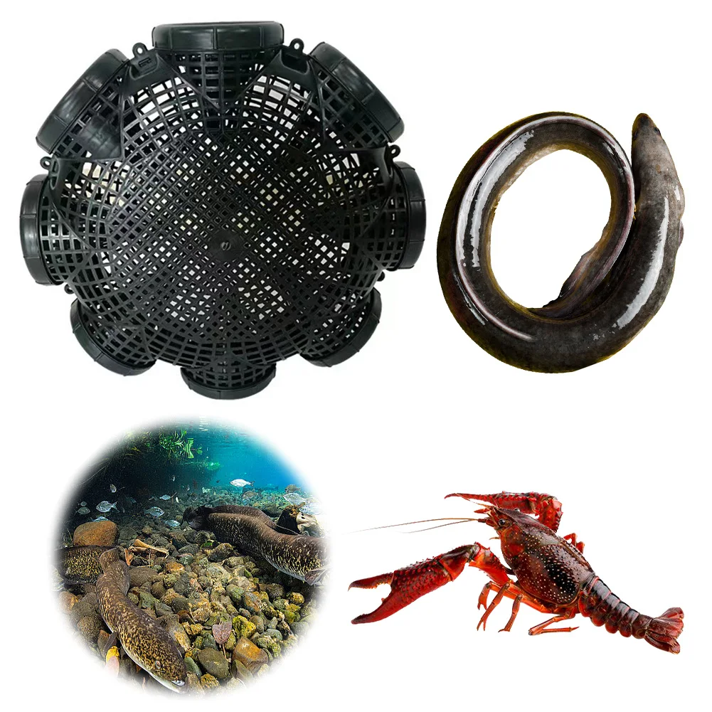 6/8 Holes Fishing Cage Crab Crayfish Shrimp Smelt Eels Traps Mesh Eel Loach Trap Fishing Accessories fishing traps crayfish catcher crab traps