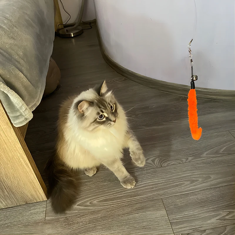 Title 9, Cat Toys Feather Interactive Teaser Stick Wand ...