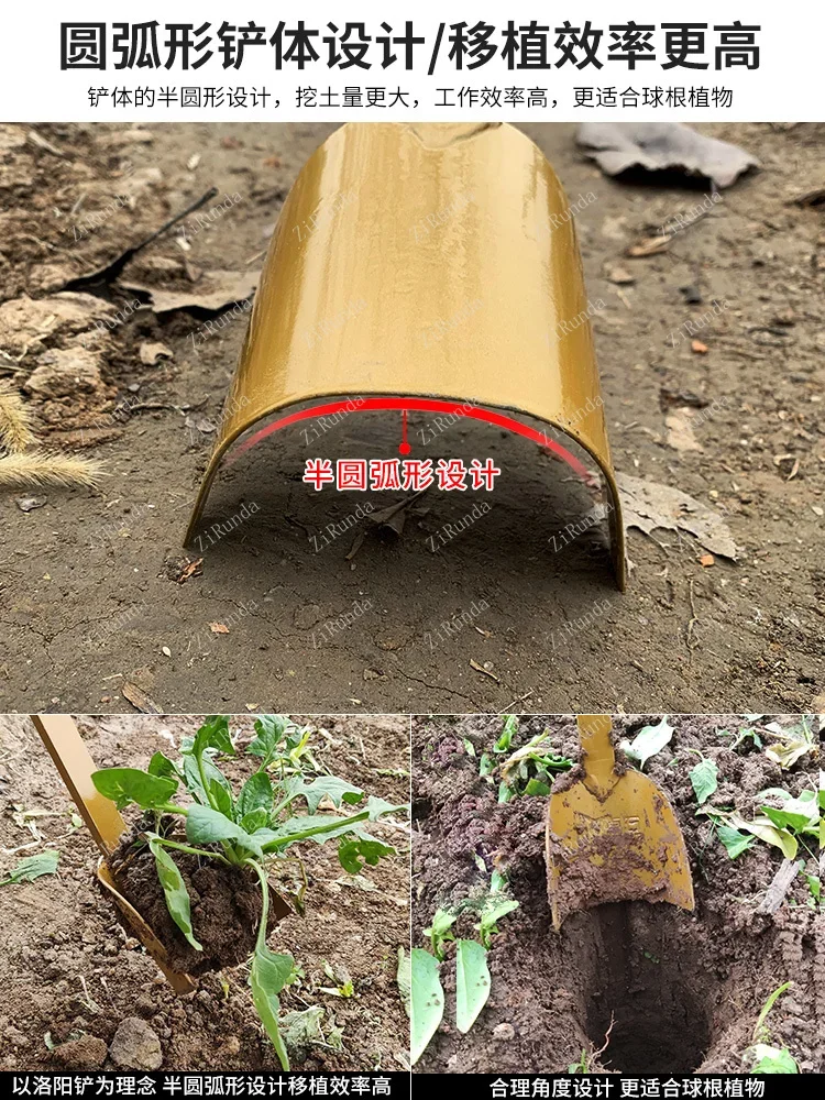 *Agricultural bulb root transplant shovel Luoyang shovel shovel outdoor digging garden tools 5