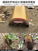*Agricultural bulb root transplant shovel Luoyang shovel shovel outdoor digging garden tools 5
