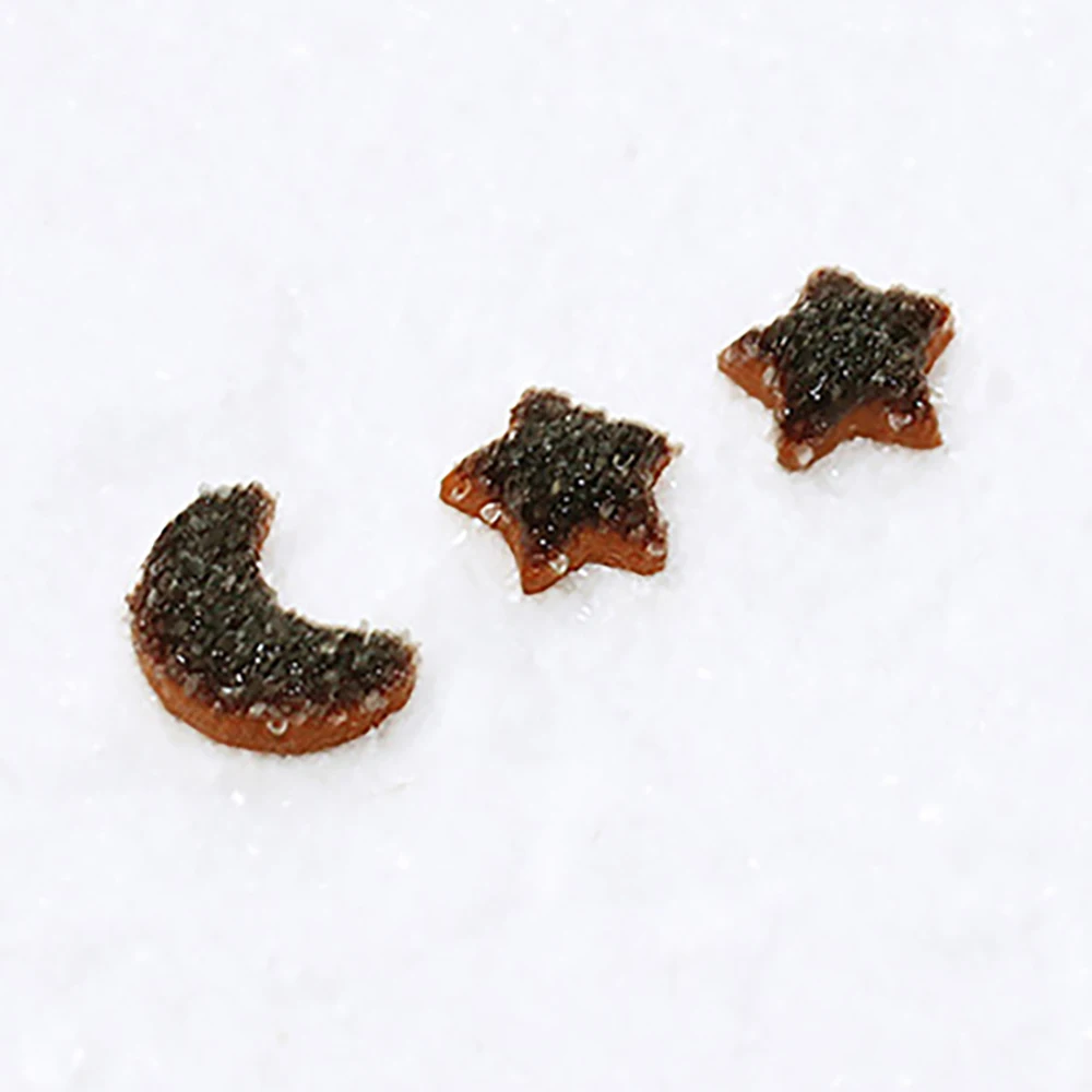 1/12 인형 집 액세서리 미니어처, 별 달 모양 쿠키, 미니 디저트 모델 장난감, 인형 집 장식 OB11 bjd, 3 개, 6 개 