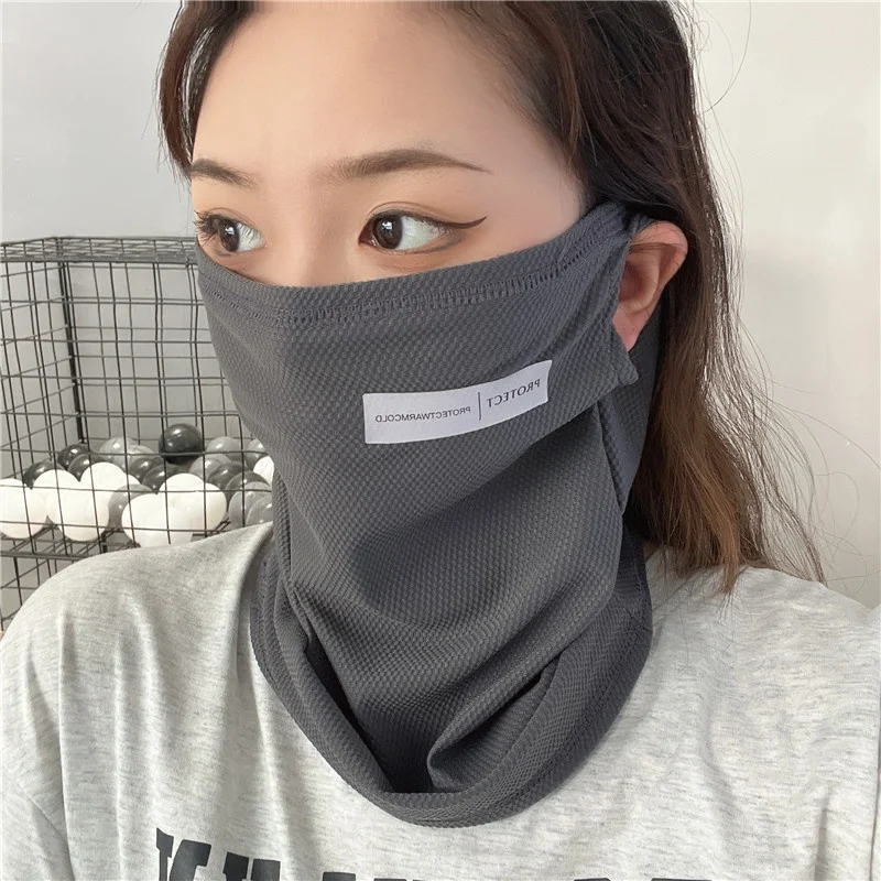 Gray Face Shield