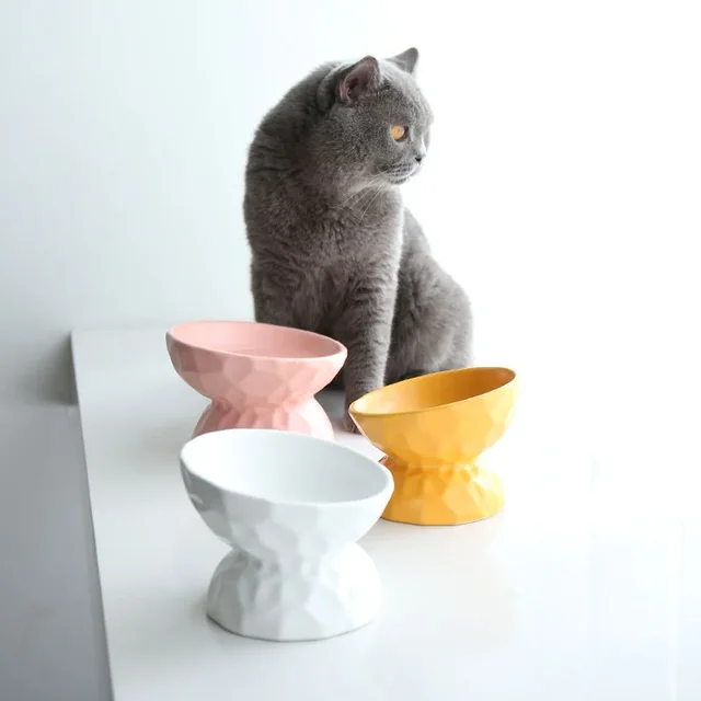 ceramic Raised Cat Bowls, Tilted Elevated Food or Water Bowls , Stress Free, Backflow Prevention, Dishwasher and Microwave Safe 5