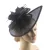 Lady Fascinators Pillbox Hat, Flower Headband with Hair Clip, Cocktail Tea Party Headwear with Veil and Feather for Women 10