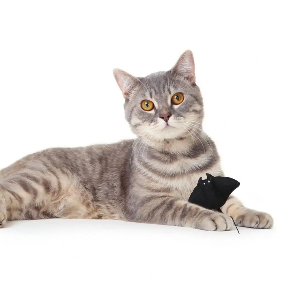 

Pet Sound Toy Cat Toy with Sound Effect Cartoon Shape Teeth Grinding Plush Toy for Cats Fun Pet Accessories Cat Toy with Catnip