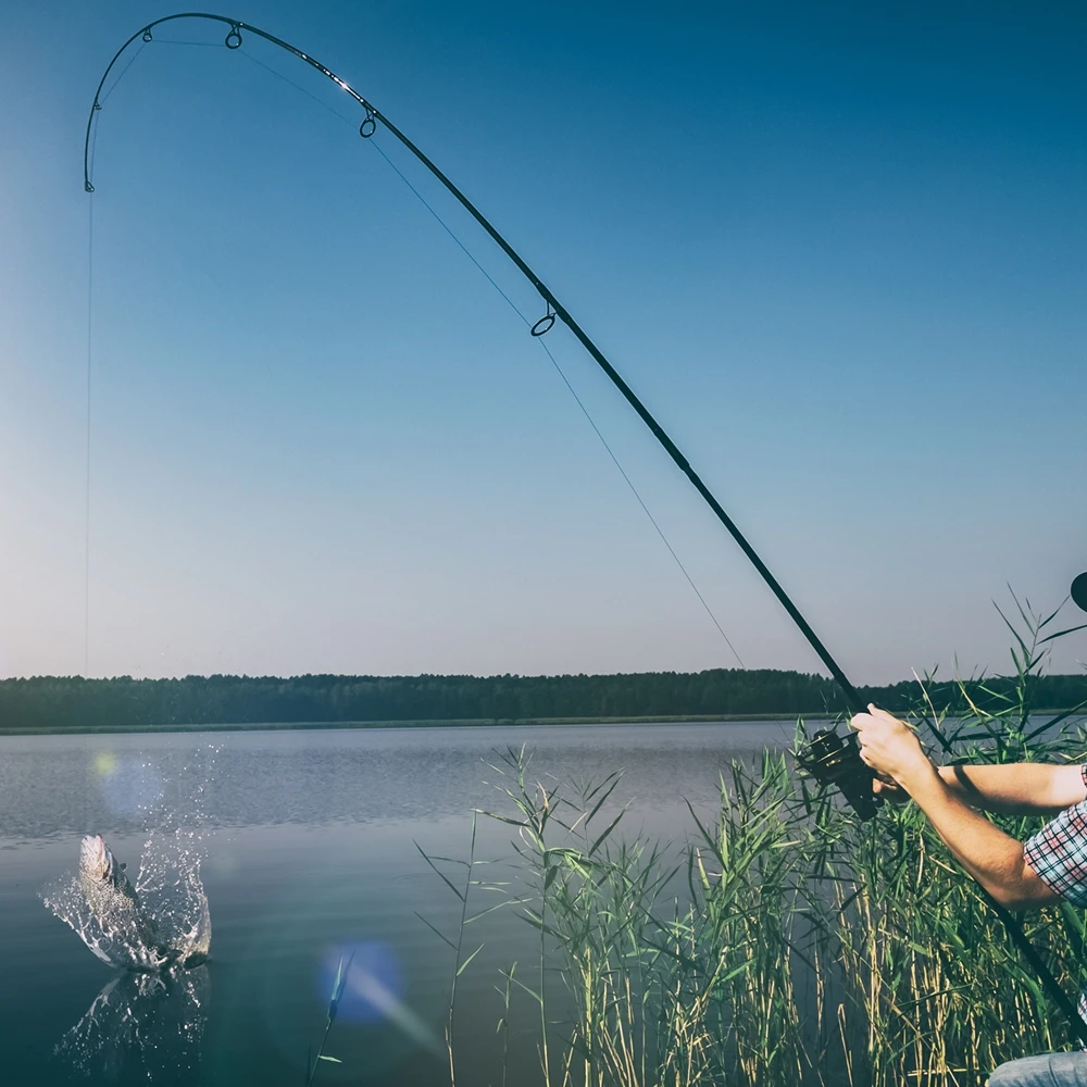 Telescopic Fishing Rods Goture Casting Rods, Two Piece Fishing Rod