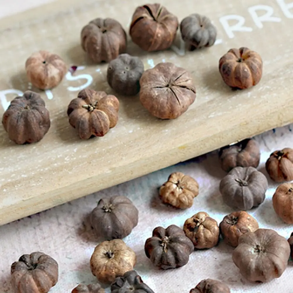 Dried Vegetables Mini Natural Halloween Pumpkins 15pcs vegetable ornaments table decoration artificial pumpkin decoration