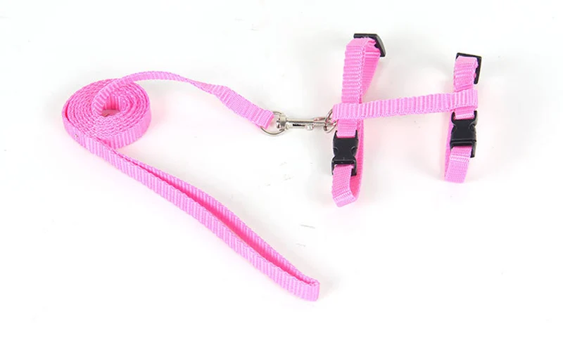 Affordable Sphynx Cat Harness & Leash Set – Lightweight Outdoor Walking Accessories for Cats