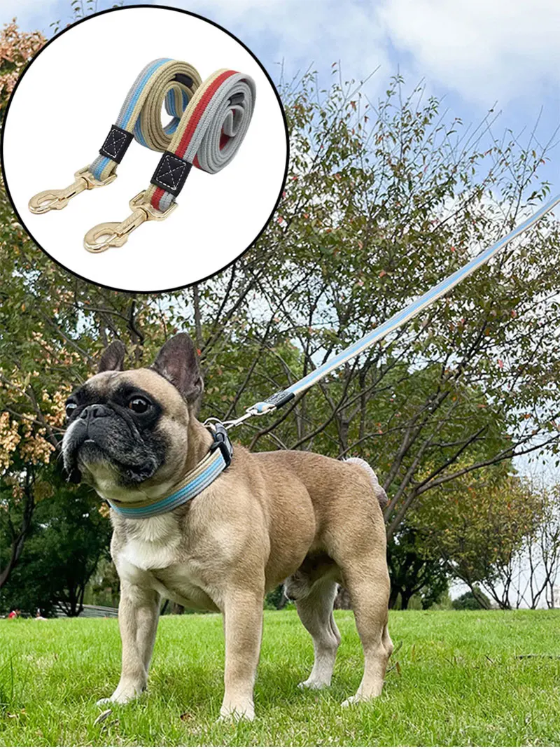 Verlängerte und Verstärkte Leinen aus Segeltuch für Haustiere, Zugseile für Spaziergänge und Training, Führleine für Welpen, kleine, mittlere und große Hunde – Detail 1