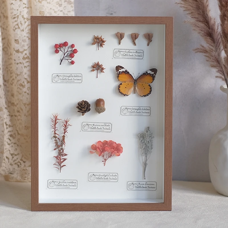 

2098Original Butterfly Specimen Dried Flowers Insect Decoration Painting Decorative Picture Frame Creative Holiday Birthday Gift