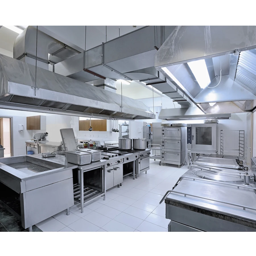 Industrial 2-Burner Gas Stove for Hotel Fast Food Restaurant & Commercial Kitchen Kitchen Machines
