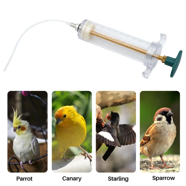 Birds Pet Feeding Syringe, Bird Parrot Manual Feeding Water Rearing Gavage Curved Needle, Adjustable Feeding Syringe 10ml-100ml 6