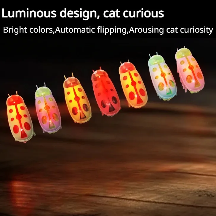 Luminous Insects