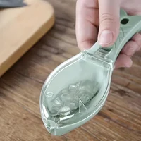 Grattoir à écailles de poisson pour enlever rapidement la peau du poisson, brosse, râpe, nettoyant, outil de cuisine, éplucheur, aide, comparateur, gadgets, 1 pièce 2