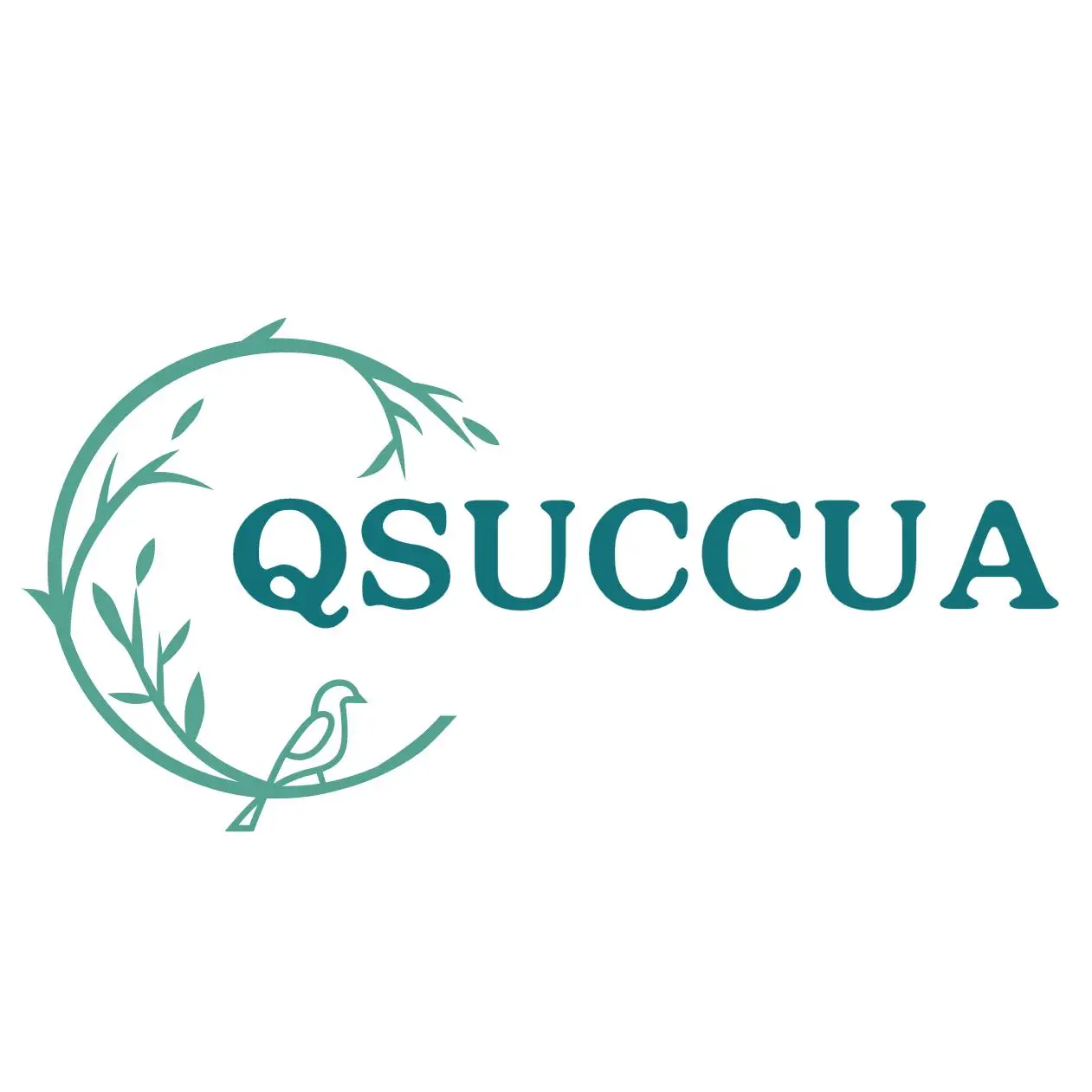 Qsuccua Store