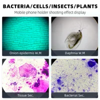 Monocular Microscope 40X‑2500X HD Inspection Laboratory Optical Microscope Tool Set For Schools & Home & Scientific Research 2