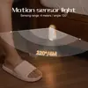 Luces para asiento de inodoro
