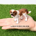 Saint Bernard