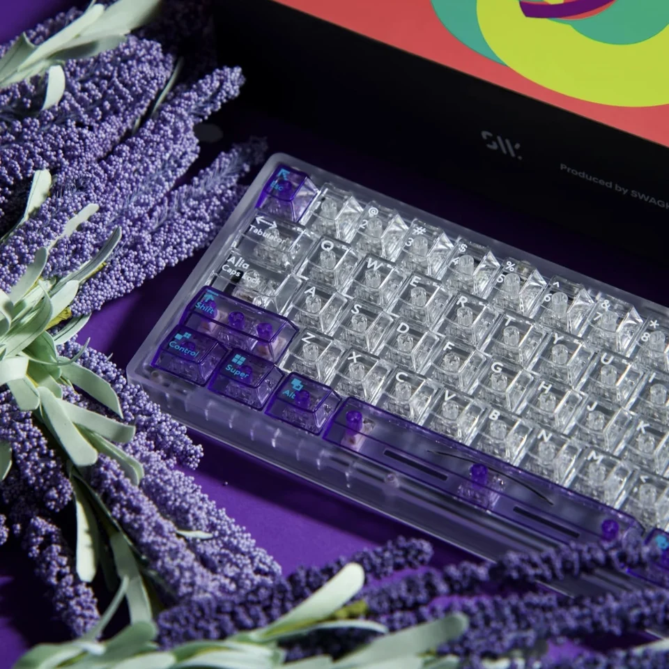 Swagkeys EAVE65 メカニカルキーボードキット有線ホットスワップ