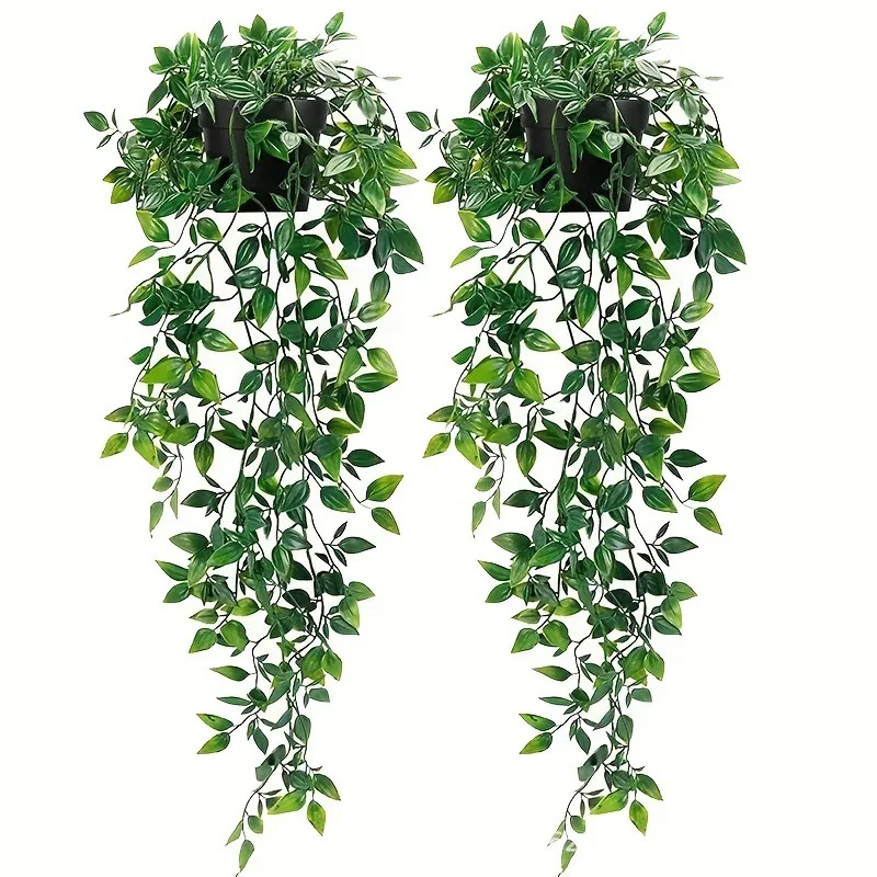 نباتات معلقة ماندالا ديكور