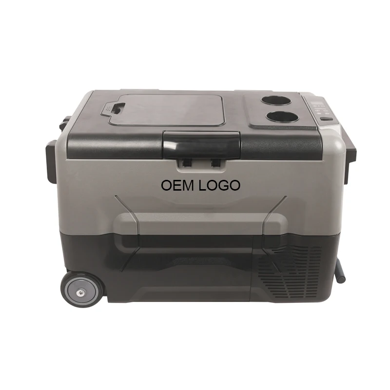 Dual Zone Portable Compressor Refrigerator 12v 24v 100-240v Camping Electric Cooler Mini Car Refrigerator for Car