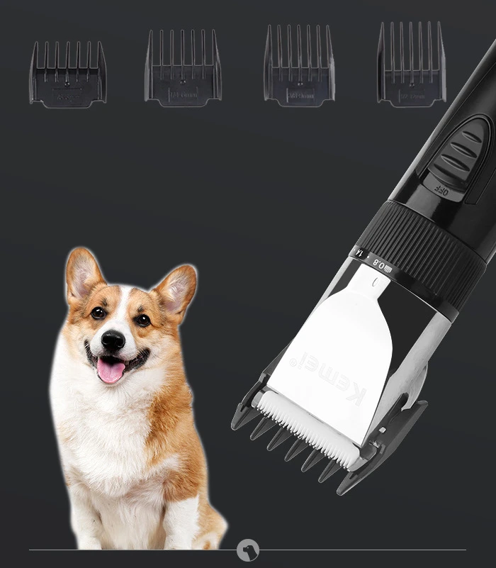 Tondeuse De Toilettage Professionnelle Pour Chien 350W – électrique, Coupe Animaux, Dorée
