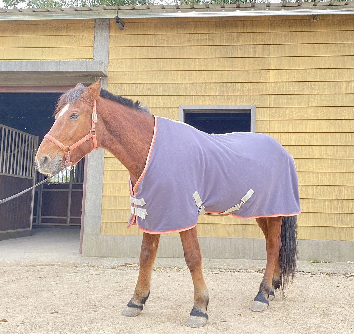 Newest Warm Soft Horse Fleece Rug Cheap Equine Horse Sheets For Stable Indoor