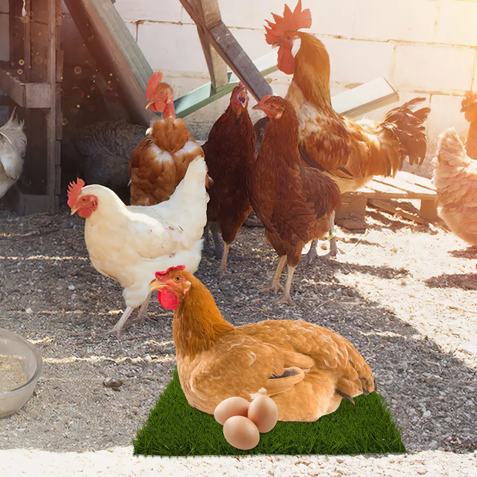 3Pcs Chicken Nesting Pads Soft Artificial Turf Washable Stable Nest Box Cushion Reduce Egg Damage For Chicken Coop