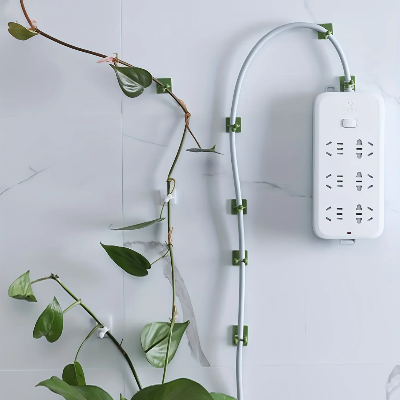 Plant Fixer, Green Vines and Basket, Wall Hook