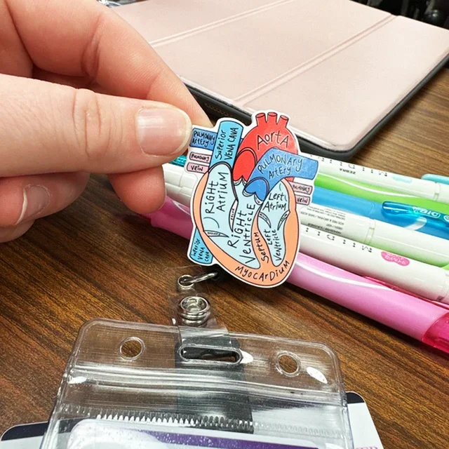 unfinished Anatomical Heart Diagram Retractable Badge Reel, Telemetry  Cardiology Nurse Badge Holder, Monitor Tech Nursing - AliExpress