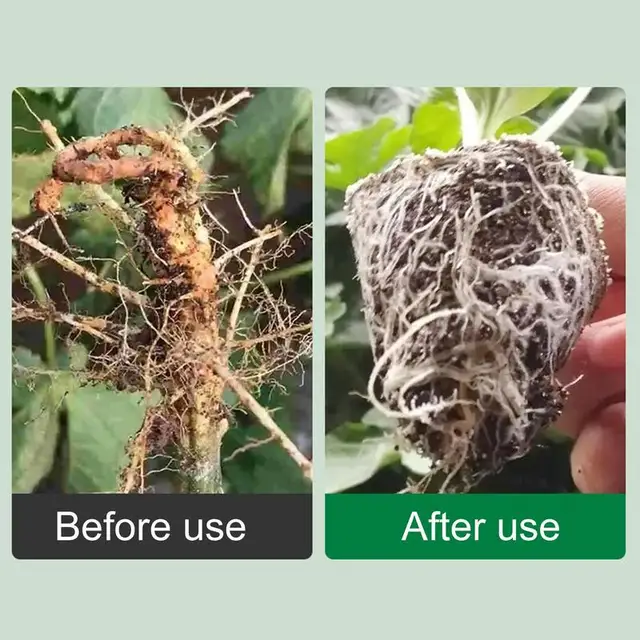 50 Ml Gyökérhormonok Dugványokhoz Nagyteljesítményű Szerves Növény És Fa Gyökér Stimulátor Átültetések Zöldség - Image 5