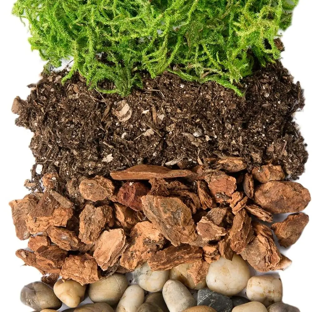 DIY Mason Jar Terrarium 3