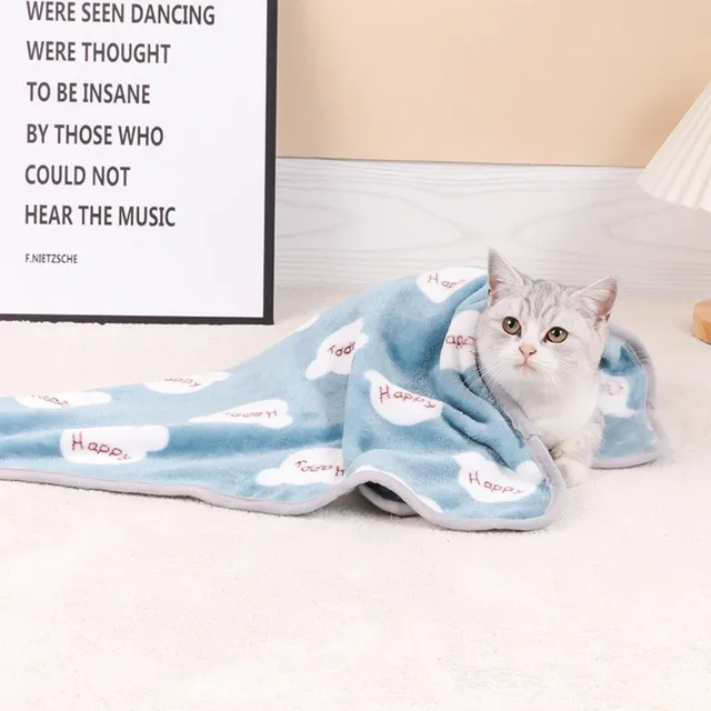 Hanging Cat Hammocks Bed House Kitten Climbing Window Nest Cats Swing Bearing 20kg in winter bathed in sunlight sleeping by cats 5