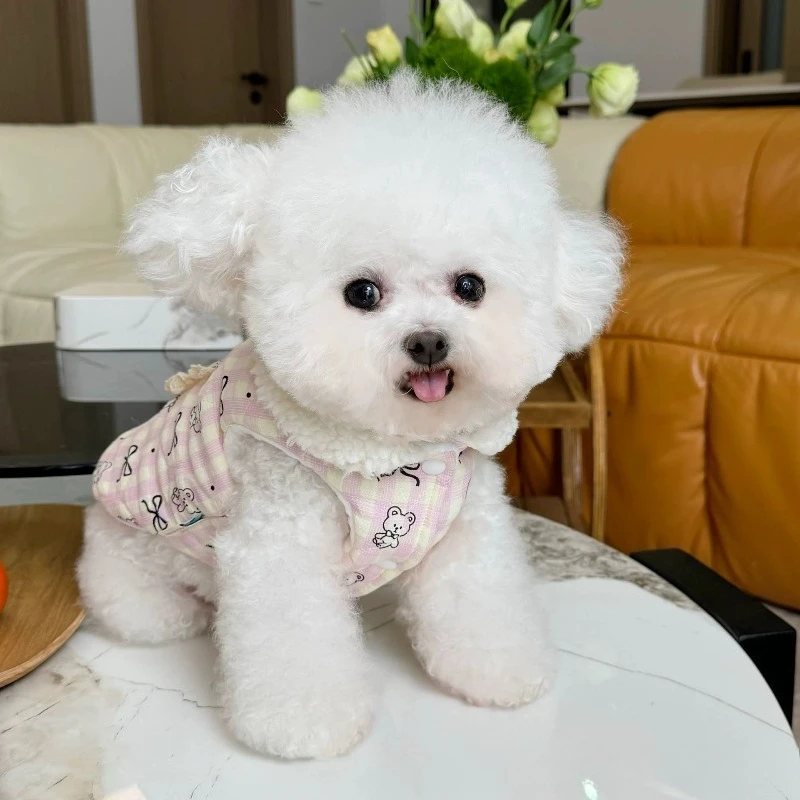 애완동물 조끼 겨울용 면 벨벳 인형 칼라 조끼 가디건 조끼 강아지 고양이 목줄 버클 면 한국식 리본 곰 프린트 애완동물 옷