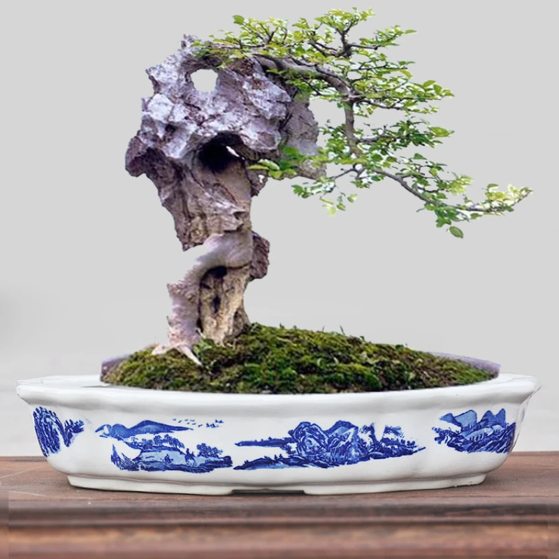 

blue and white porcelain rockery flower pot for garden