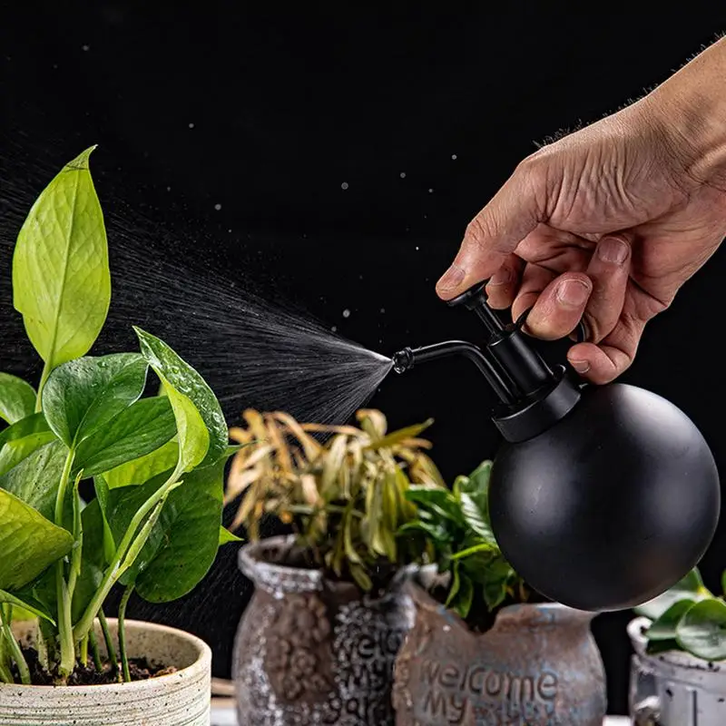 

Plant Watering Can Golden Stainless Steel Nordicc Watering Pot Indoor Flower Pot Jar Double-Headed Flower Watering Cap Crafts