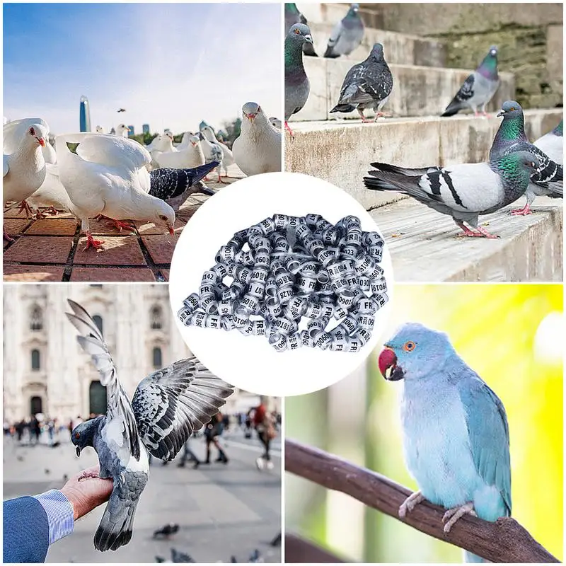 50Pcs Bird Pigeons Rings 8mm Bayonet Identification Ring Inner Diameter 8mm Plastic Clip Identification Outdoor