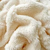 2024 new Tuff velvet solid color jacquard multifunctional cover blanket blanket jacquard butterfly model 5