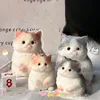 2024 NEW Large Kawaii Chubby Cat Ragdoll Cat Soft Sticky Birthday Kids Girl Cute Squishy gift Fidgeting Mochi Taba Toy Ornament 4