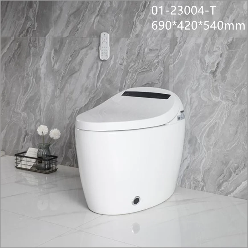 Intelligent Bidet Toilet Seat