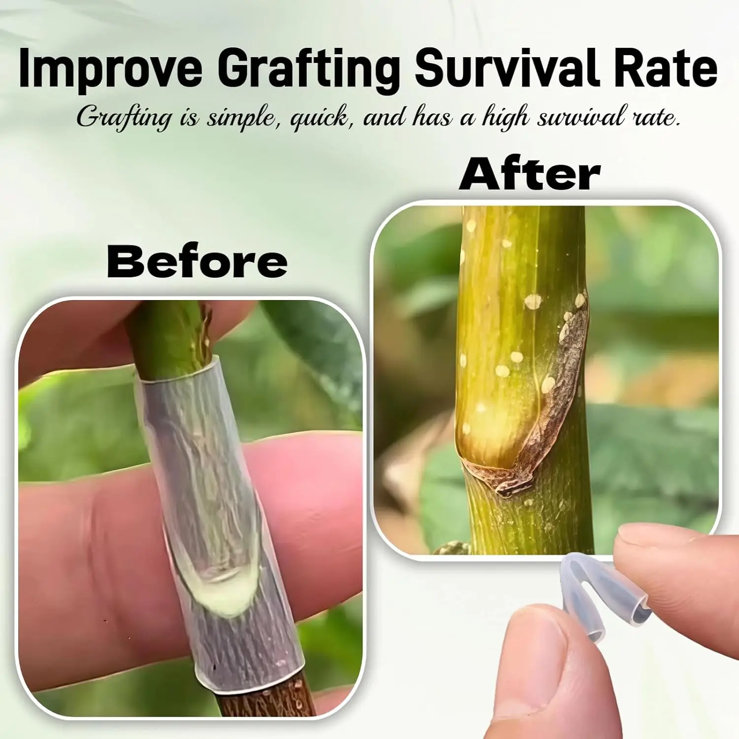 50/500x 3-7.5mm 원예용 특수 접목 케이싱 슬리브 얇은 벽면 접목 튜브 식물 과일 나무 가지 치유 보호기