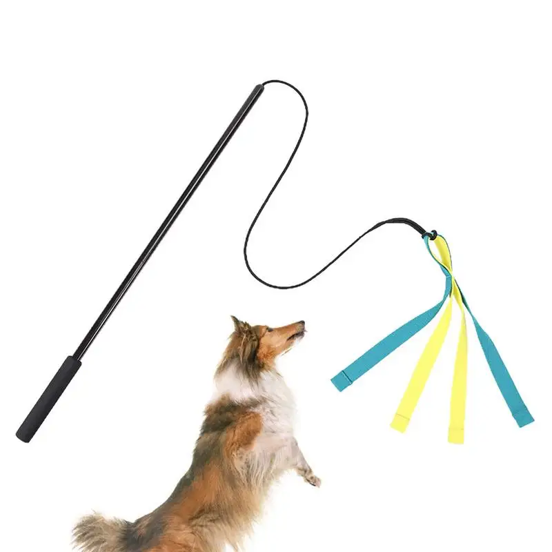 

Dog Lure Stick Extendable Interactive Funny Dog Toy Funny Chasing Tail Teaser Flirt Pole For Pets Dogs Outdoor Playing Toys