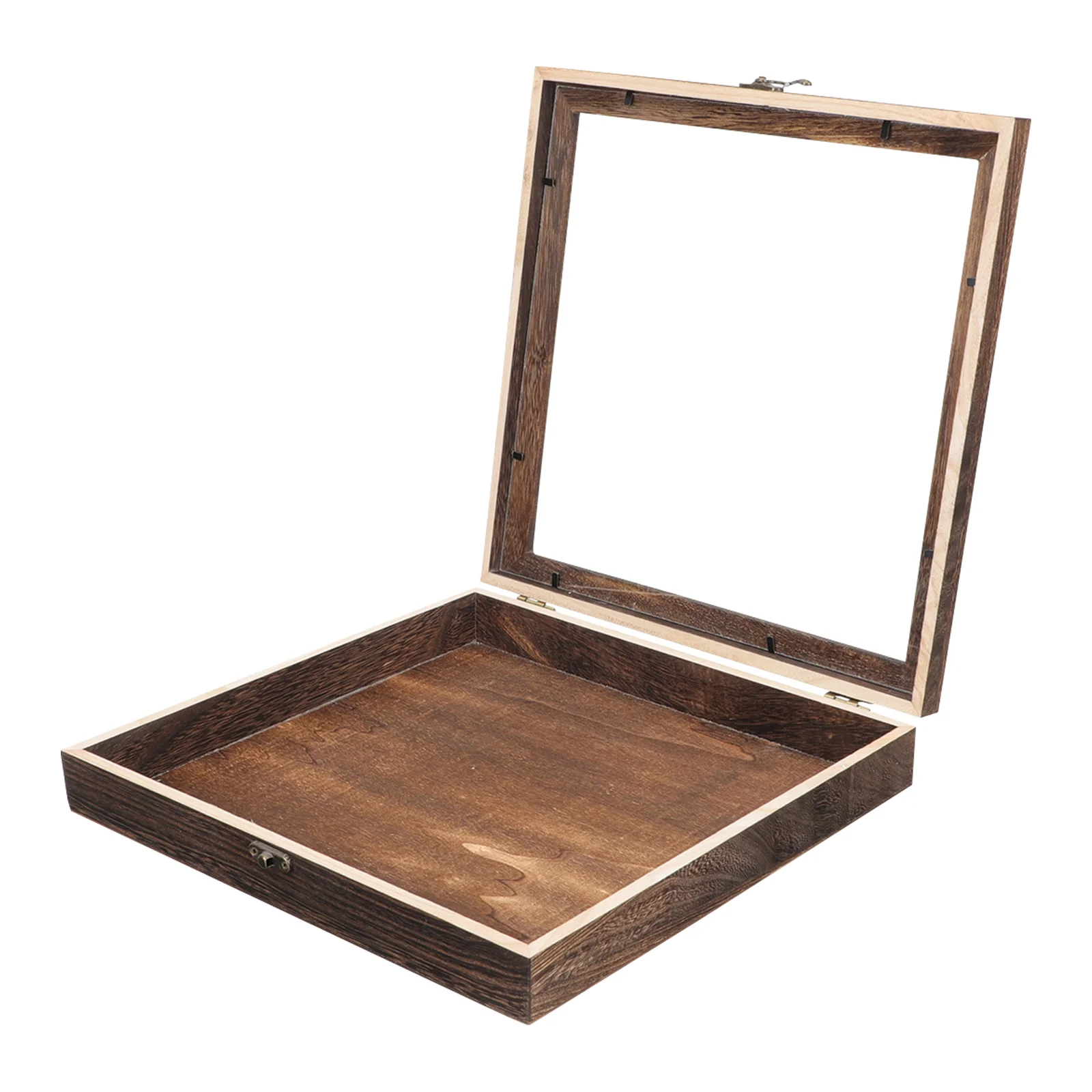 

Insect Display Case Wooden Bug Display Case Box for Specimen Insect Shadow Box Coffee