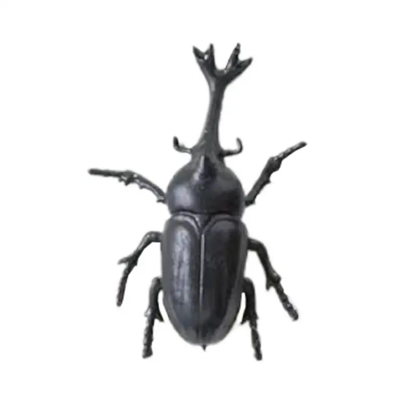 

Slingshot Animals Finger Toys Creative Cockroach Flying Games Anti Anxiety Stress Relief Shooting Playing Catapult Toy for Kids