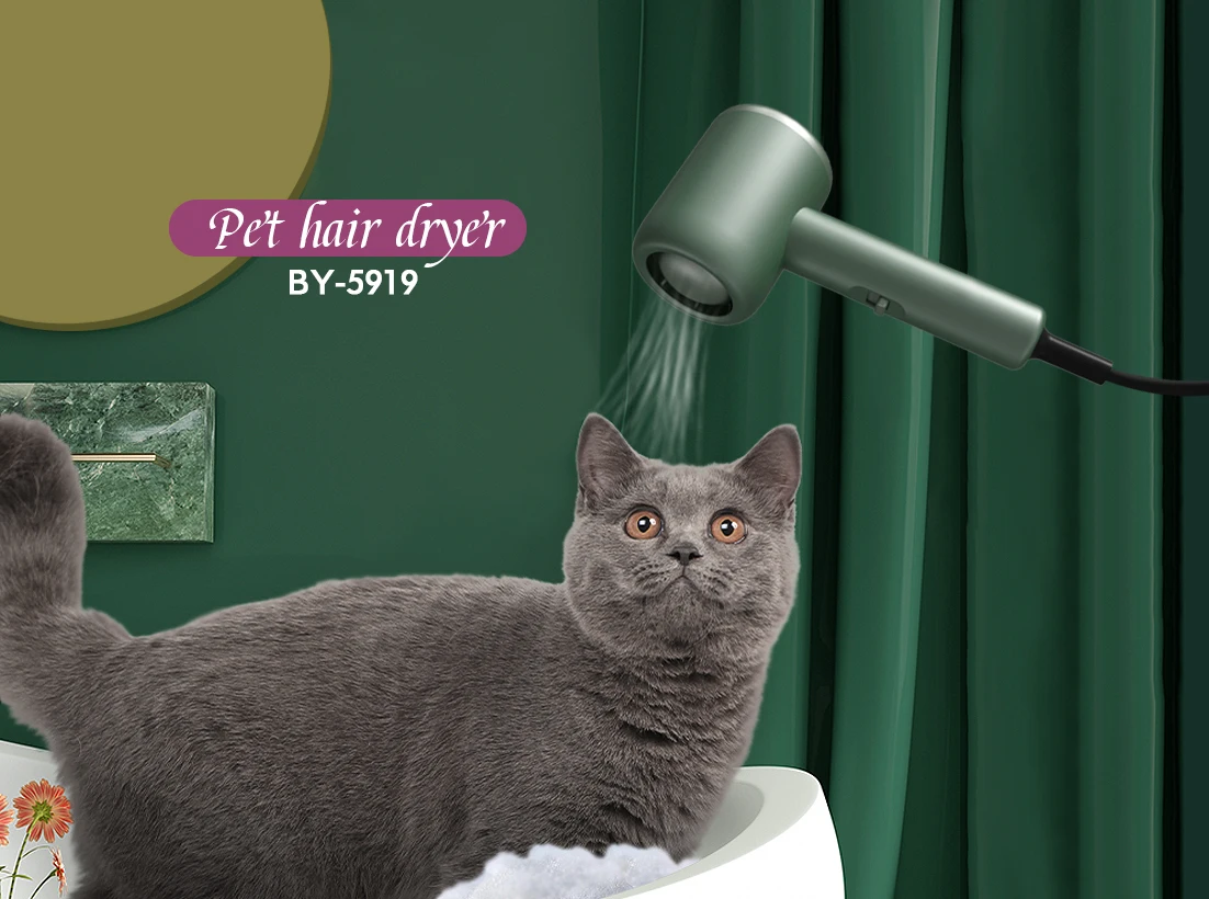 Compact And Lightweight Quiet Low Noise Innovative Air Qutlet Structure Dual Voltage Hair Dryer For Pet Baby Pregnant Woman