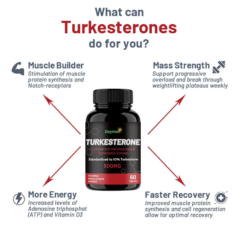 Turkesterone Capsules 500mg fat male health Maintain energy levels 2 Bottle 120 Pills
