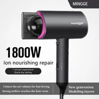 Popular Foldable Hair Dryer 1800W Blue Light Negative Ion Super Silent US/EU/UK/Plug 110V/220V Home Barber Recommended 2