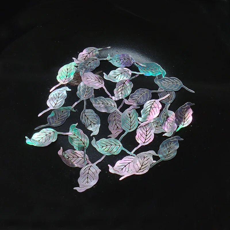 1 Lot Multiple Natural Shell Mother of Pearl Conch Coquillage for natural shell ornaments