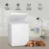 Freezer 5 Cu.Ft. Deep Freezer, Quiet Compact Freezer with Adjustable Thermostat Control and Removable Wire Basket, for Apa 5